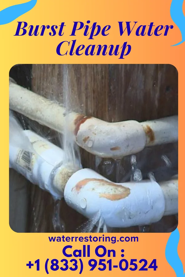 Burst Pipe Water Cleanup in Rupert, PA
