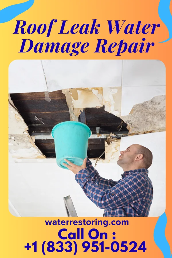 Roof Leak Water Damage Repair in Rupert, PA